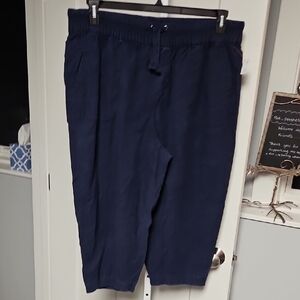 Lane Bryant Navy Ankle Pants